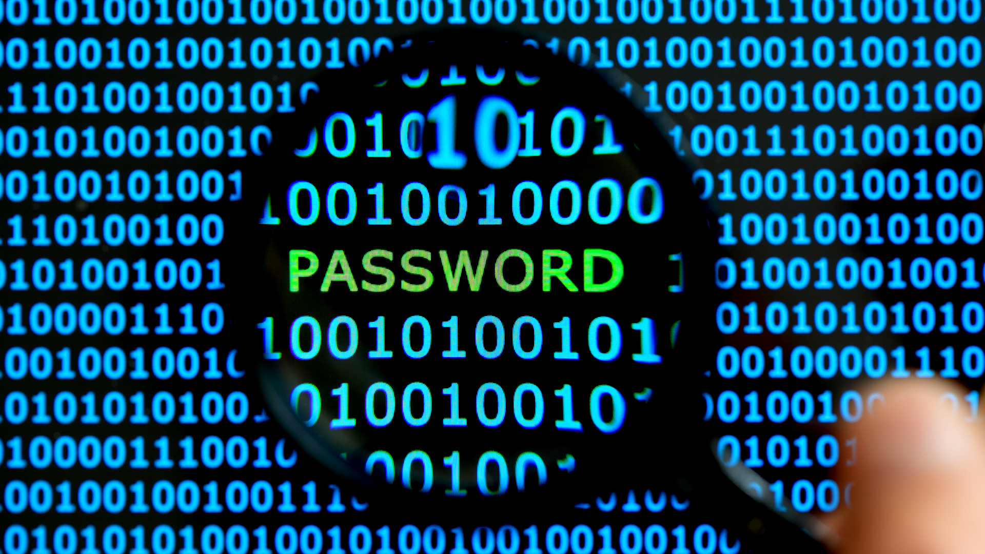 leaked password database